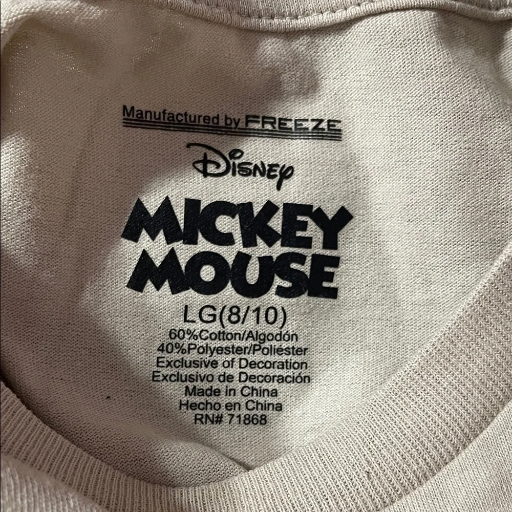 NWT Disney Child’s T-Shirt Mickey Minnie Graphic Large
